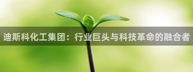千亿球盟会：迪斯科化工集团：行业巨头与科技革命的融合者