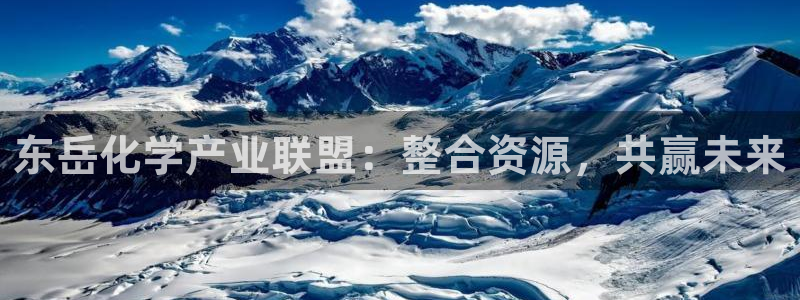 球盟会游戏：东岳化学产业联盟：整合资源，共赢未来