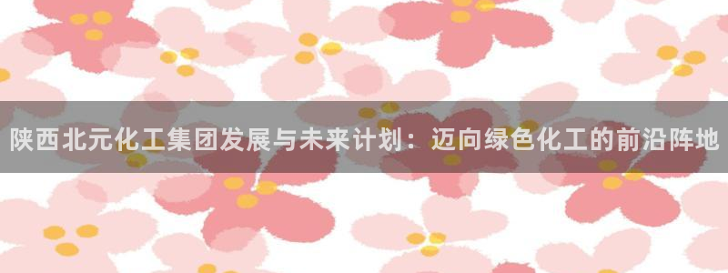 球盟会和中欧：陕西北元化工集团发展与未来计划：迈向绿色化工的