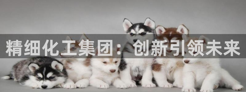 球盟会网页登录：精细化工集团：创新引领未来