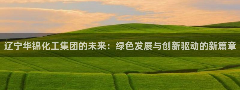 球盟会官网入口：辽宁华锦化工集团的未来：