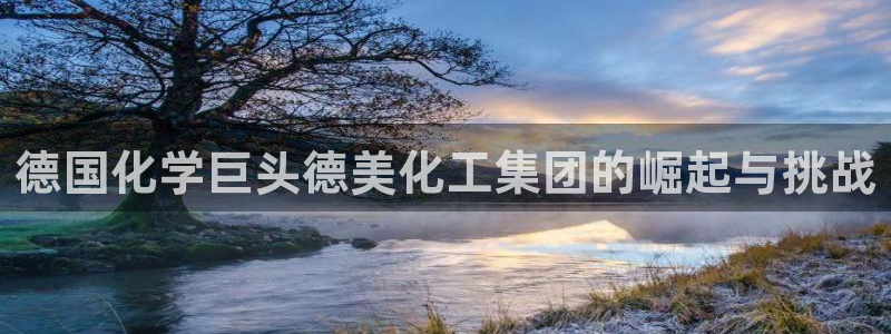 球盟会可以提现么：德国化学巨头德美化工集团的崛起与挑战