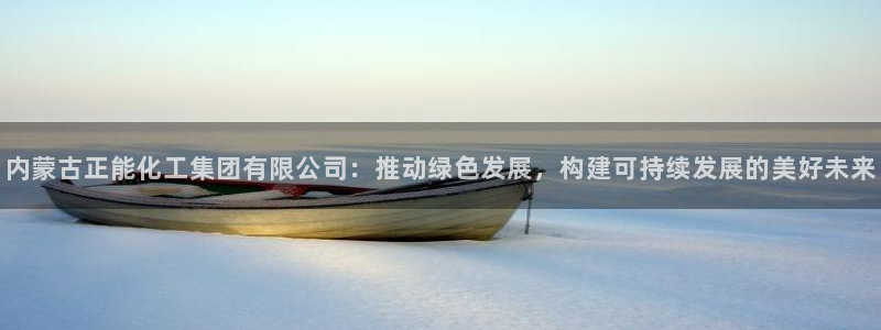 球盟会官方下载：内蒙古正能化工集团有限公司：推动绿色发展，构