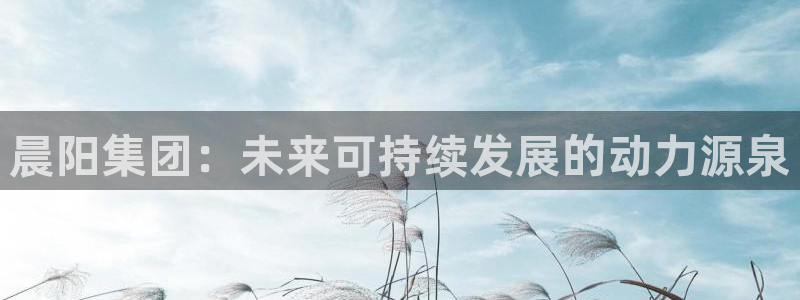 球盟会封禁：晨阳集团：未来可持续发展的动力源泉