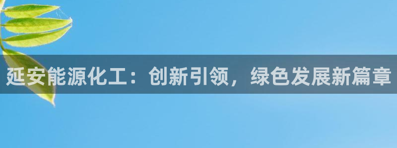 球盟会封号：延安能源化工：创新引领，绿色发展新篇章