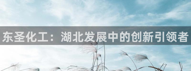 球盟会游戏