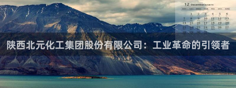 球盟会黑台子：陕西北元化工集团股份有限公司：工业革命的引领者