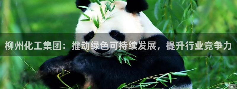 球盟会进不去球员吗