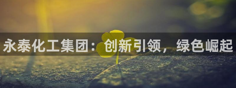 球盟会在线登录官网：永泰化工集团：创新引领，绿色崛起