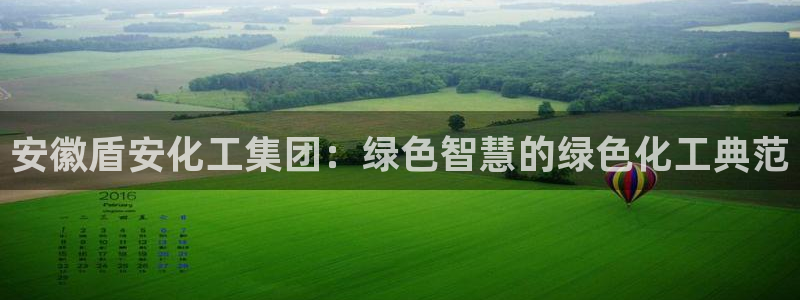 球盟会app入口：安徽盾安化工集团：绿色智慧的绿色化工典范