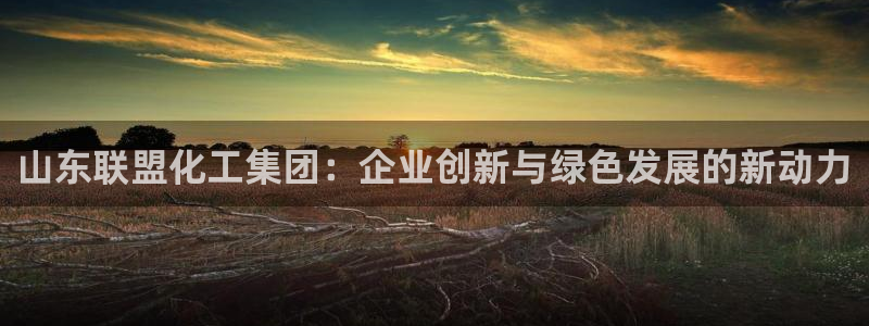 球盟会平台会黑单吗：山东联盟化工集团：企业创新与绿色发展的新