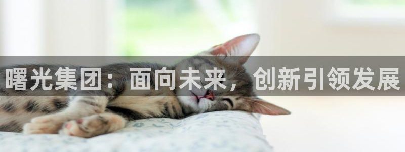 球盟会qmh