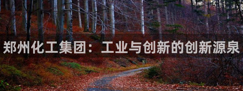 球盟会网址qm9 - 球盟会qmh网页版登录：郑州化工集团：