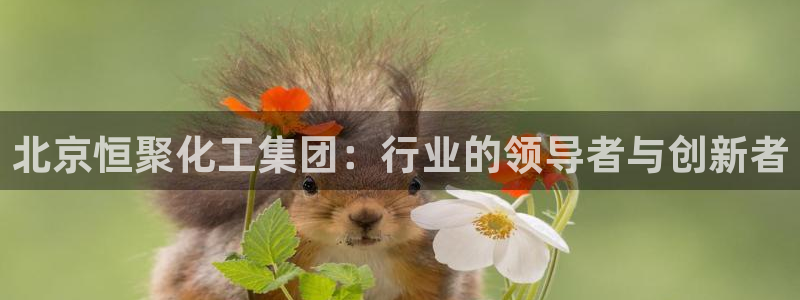 球盟会出款黑了：北京恒聚化工集团：行业的领导者与创新者