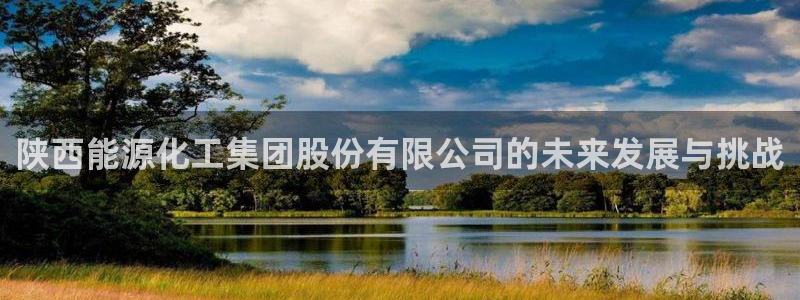 球盟会登陆：陕西能源化工集团股份有限公司的未来发展与挑战