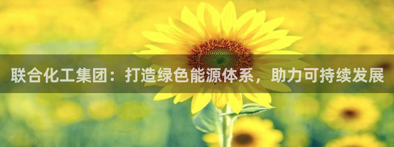球盟会网页登录：联合化工集团：打造绿色能源体系，助力可持续发