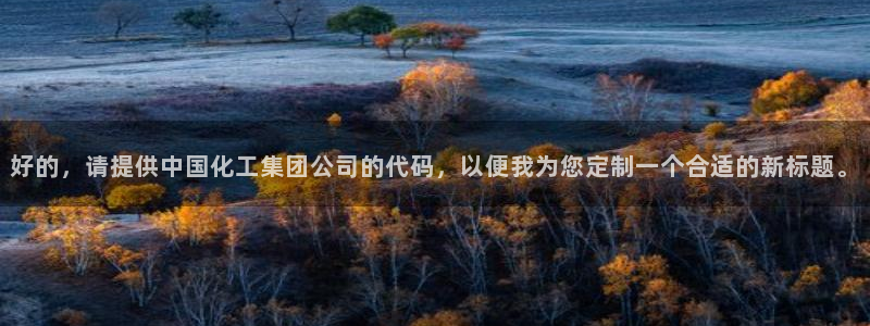 球盟会平台会黑单吗：好的，请提供中国化工集团公司的代码，以便