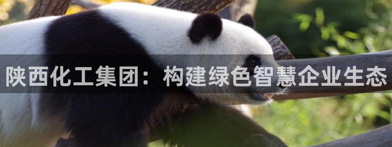球盟会网址：陕西化工集团：构建绿色智慧企业生态