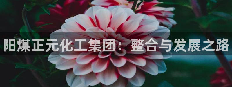 球盟会体验金球奖吗