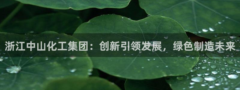球盟会有没有黑单的人：浙江中山化工集团：创新引领发展，绿色制