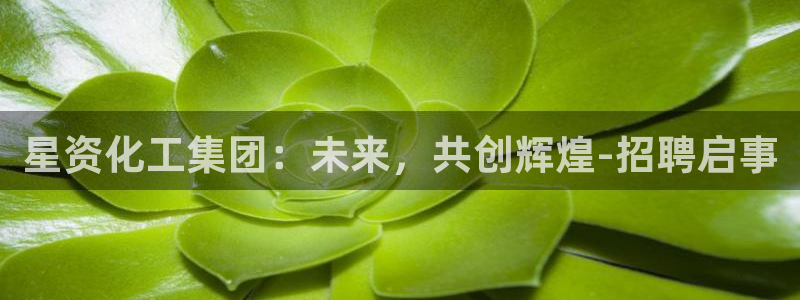 球盟会黑嘛：星资化工集团：未来，共创辉煌-招聘启事