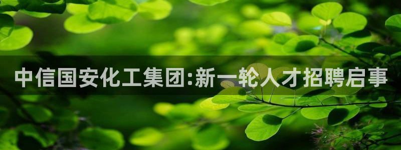球盟会在线网站