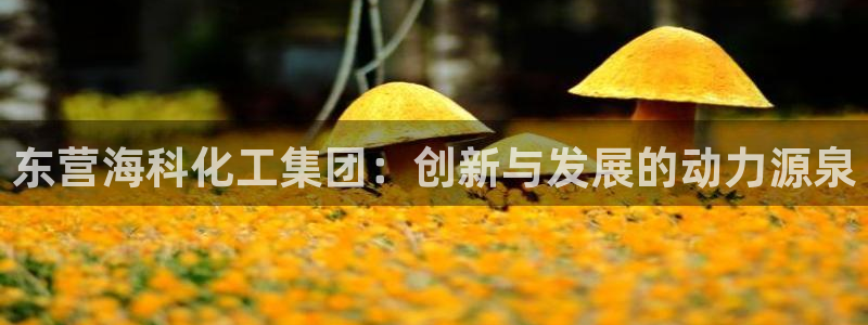 球盟会app最新地址在哪找：东营海科化工集团：创新与发展的动