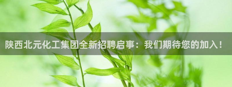 球盟会里面有打牌的嘛