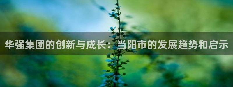 球盟会APP下载：华强集团的创新与成长：