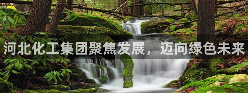 球盟会里面有打牌的嘛是真的吗：河北化工集团聚焦发展，迈向绿色