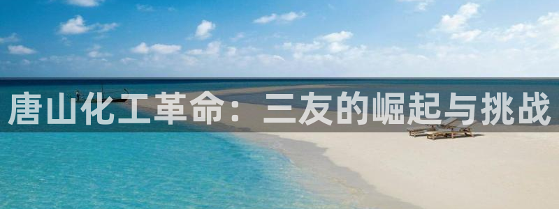 球盟会封号：唐山化工革命：三友的崛起与挑