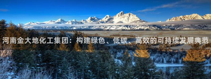 球盟会app安装：河南金大地化工集团：构建绿色、低碳、高效的