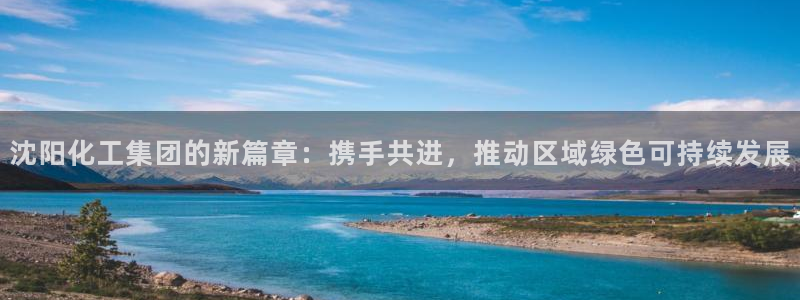 球盟会在线官网：沈阳化工集团的新篇章：携手共进，推动区域绿色