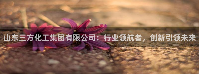 球盟会登录入口：山东三方化工集团有限公司：行业领航者，创新引