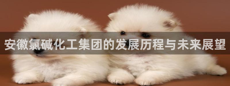 球盟会app网址多少号：安徽氯碱化工集团的发展历程与未来展望
