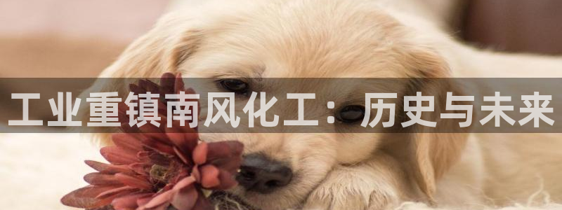 球盟会连接：工业重镇南风化工：历史与未来