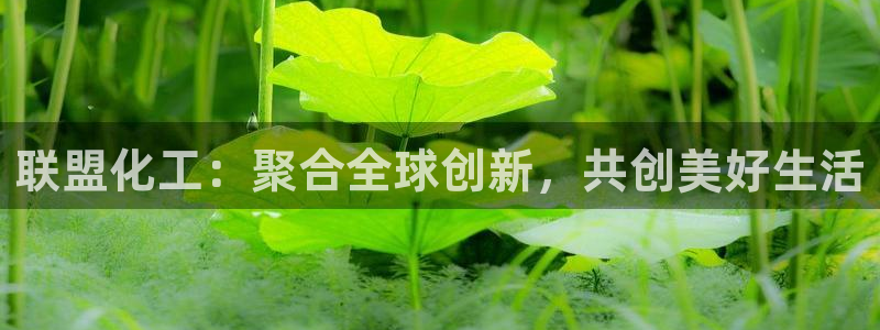 球盟会黑台子吗：联盟化工：聚合全球创新，共创美好生活