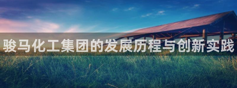 球盟会qm9：骏马化工集团的发展历程与创新实践