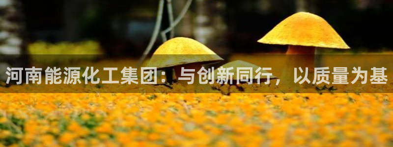 千亿球盟会：河南能源化工集团：与创新同行，以质量为基