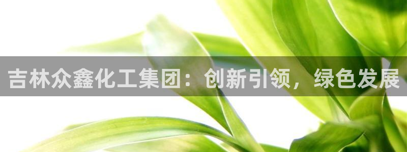 球盟会游戏：吉林众鑫化工集团：创新引领，绿色发展