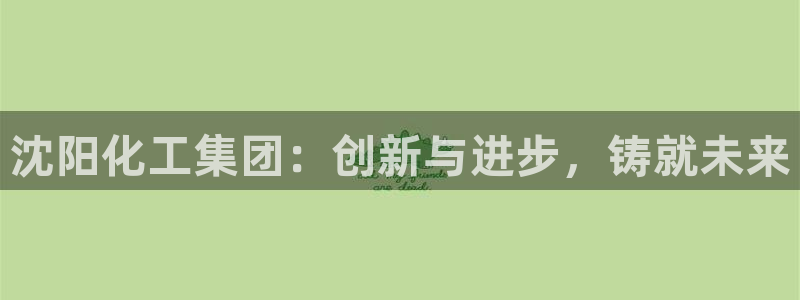 球盟会官网网页版：沈阳化工集团：创新与进步，铸就未来