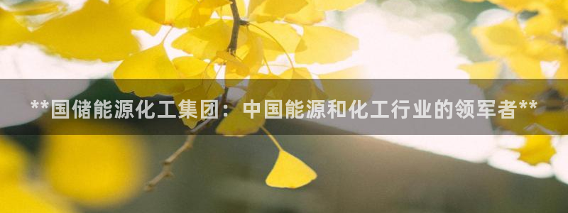 球盟会有没有黑单的人：**国储能源化工集团：中国能源和化工行
