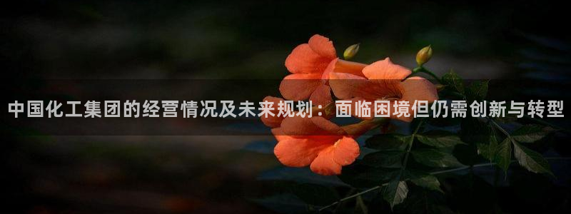 球盟会app最新地址在哪：中国化工集团的经营情况及未来规划：