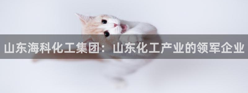 球盟会qm8597：山东海科化工集团：山
