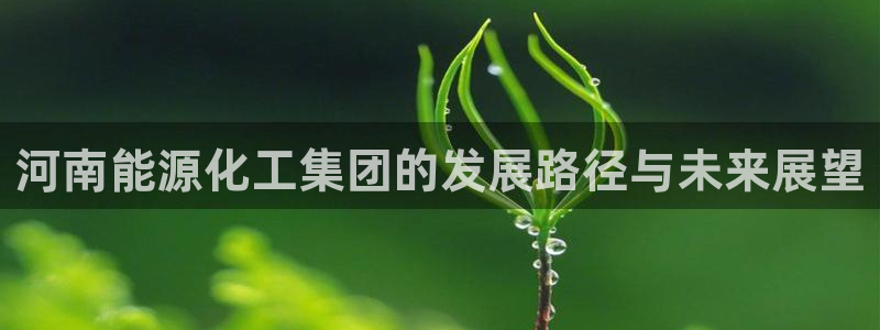 球盟会app网址多少