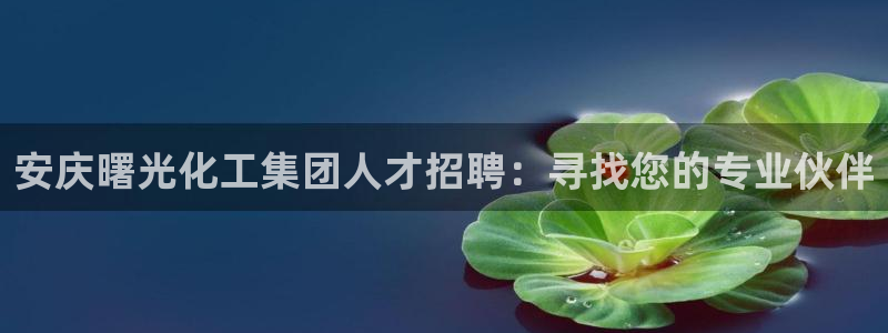 球盟会网页登录app下载地址