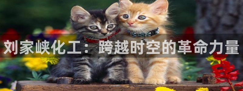 球盟会qmh - 球盟会官方网站