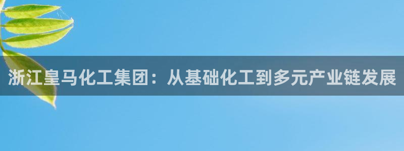 球盟会app最新地址下载安装：浙江皇马化工集团：从基础化工到