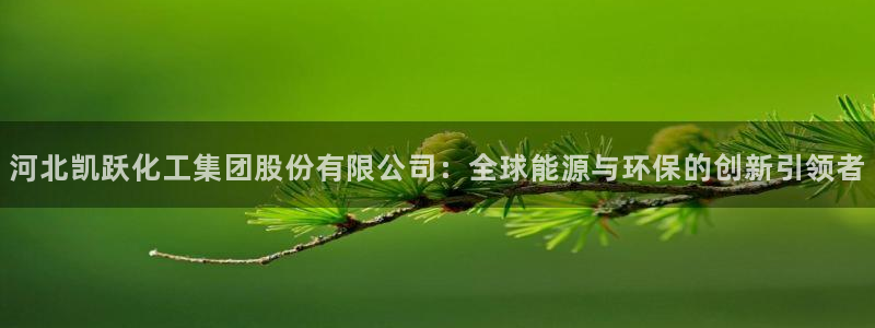 球盟会有限公司怎么样：河北凯跃化工集团股份有限公司：全球能源