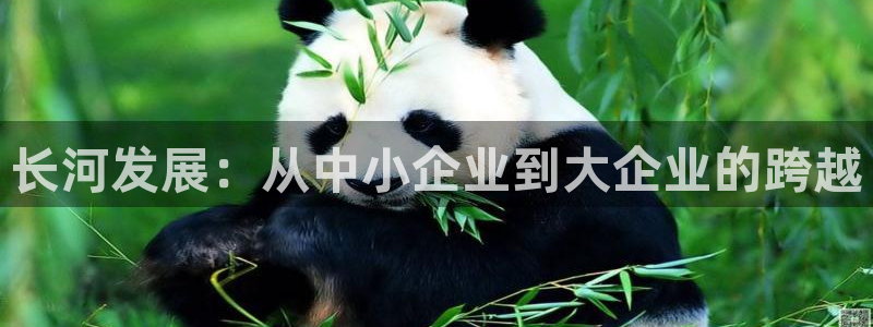 球盟会中国网页登录：长河发展：从中小企业到大企业的跨越